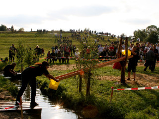 Foto 35853 im Album