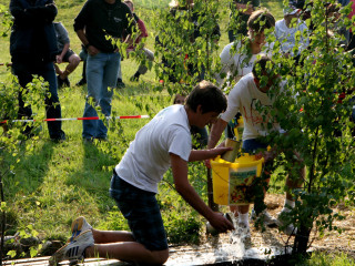 Foto 35865 im Album