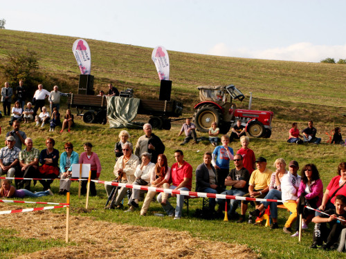 Hochfrankenspiele 2012 – Foto 293