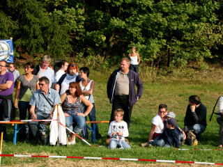 Foto 35875 im Album