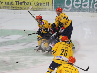 Foto 36105 im Album