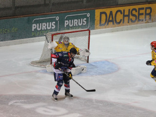 Foto 36110 im Album