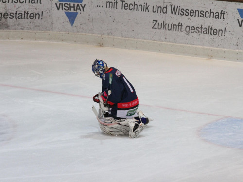Selber Wölfe - Füchse Weißwasser – Foto 70