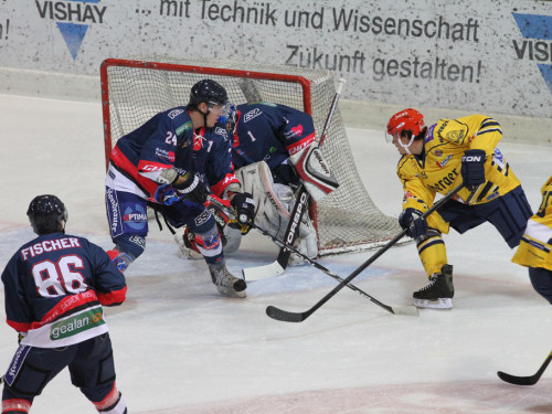 Selber Wölfe - Füchse Weißwasser – Foto 86