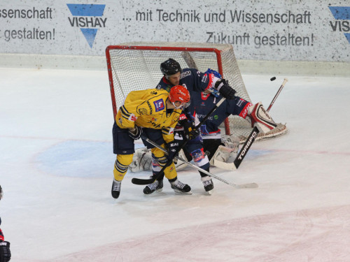 Selber Wölfe - Füchse Weißwasser – Foto 301