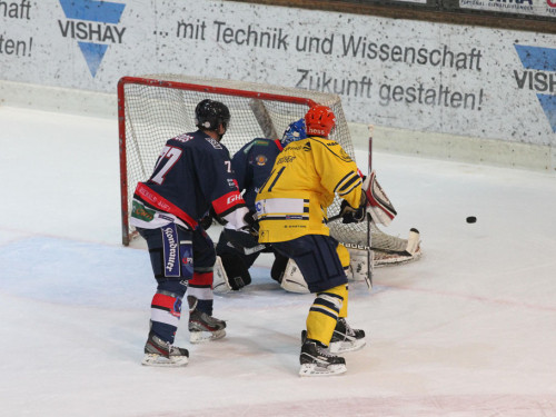 Selber Wölfe - Füchse Weißwasser – Foto 305