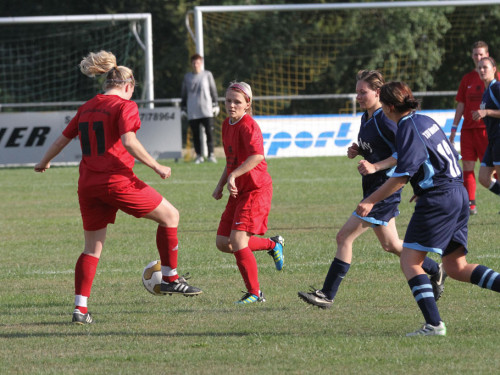 FC Selb - TSV Himmelkron – Foto 14