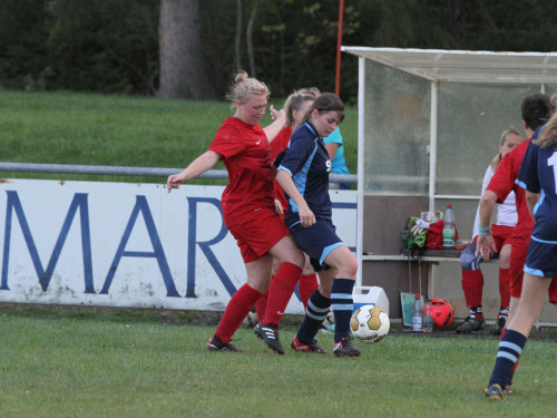 FC Selb - TSV Himmelkron – Foto 44