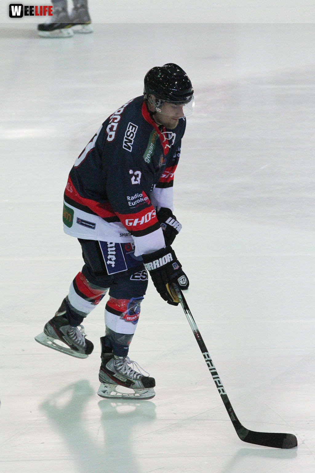 Selber Wölfe - Icefighters Leipzig
