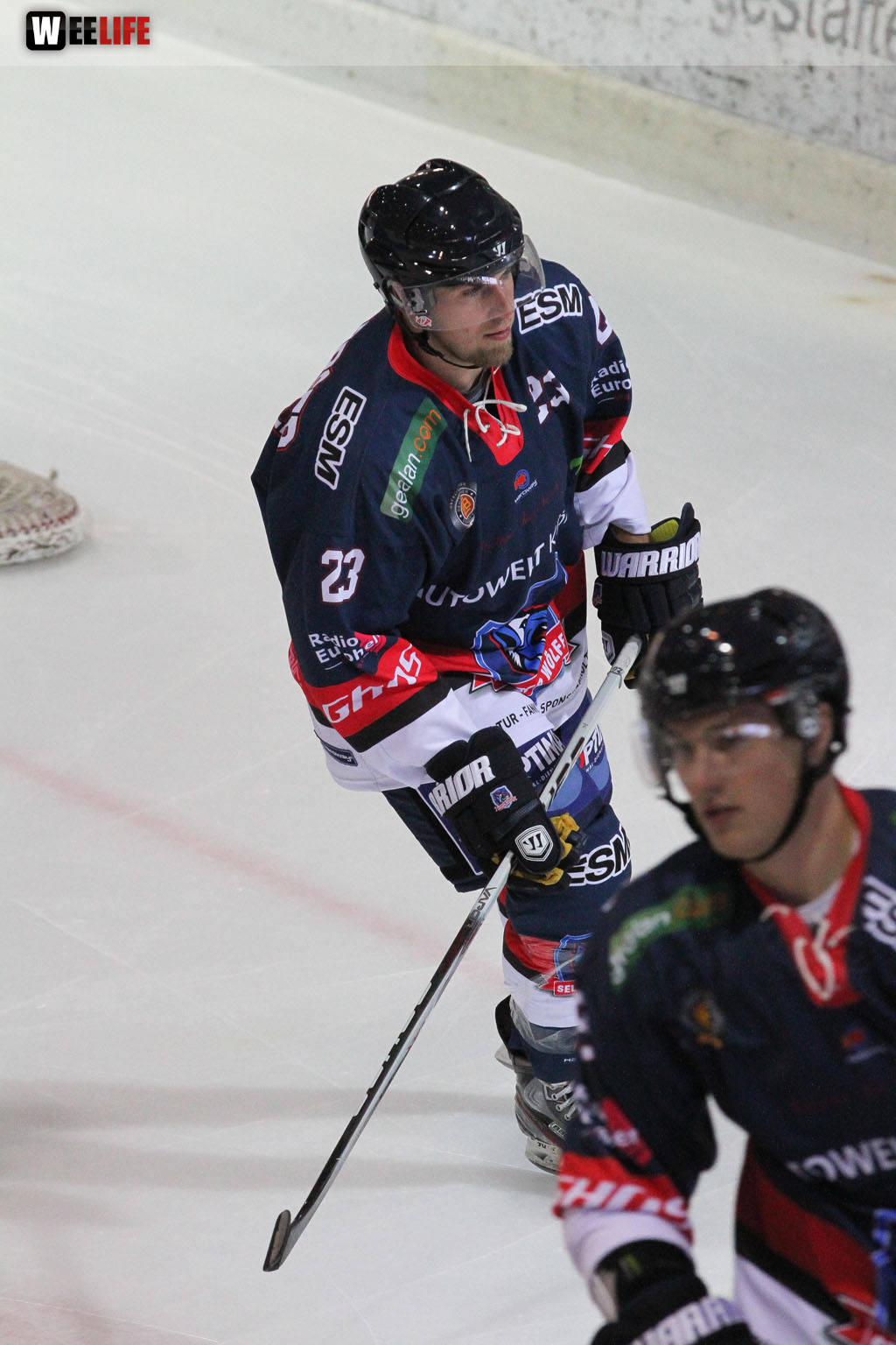 Selber Wölfe - Icefighters Leipzig