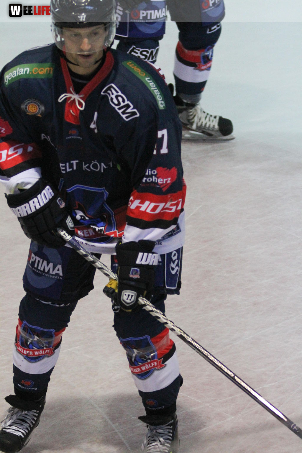 Selber Wölfe - Icefighters Leipzig