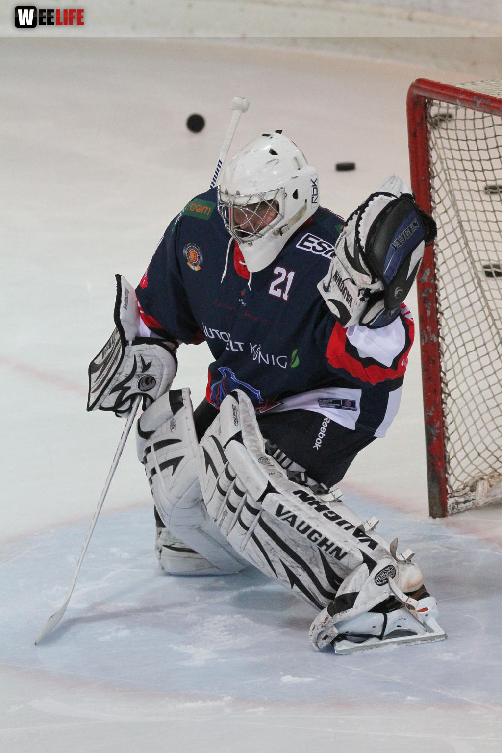 Selber Wölfe - Icefighters Leipzig