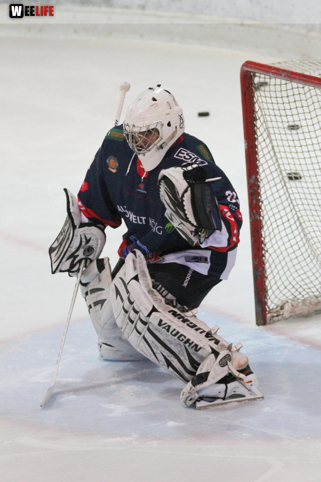 Selber Wölfe - Icefighters Leipzig