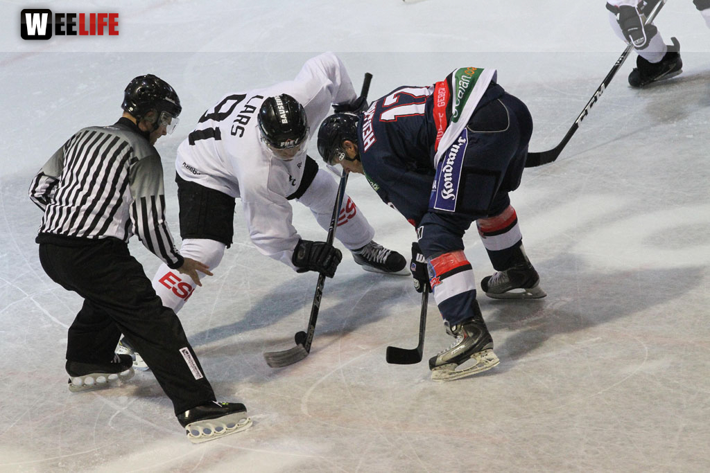 Selber Wölfe - Icefighters Leipzig