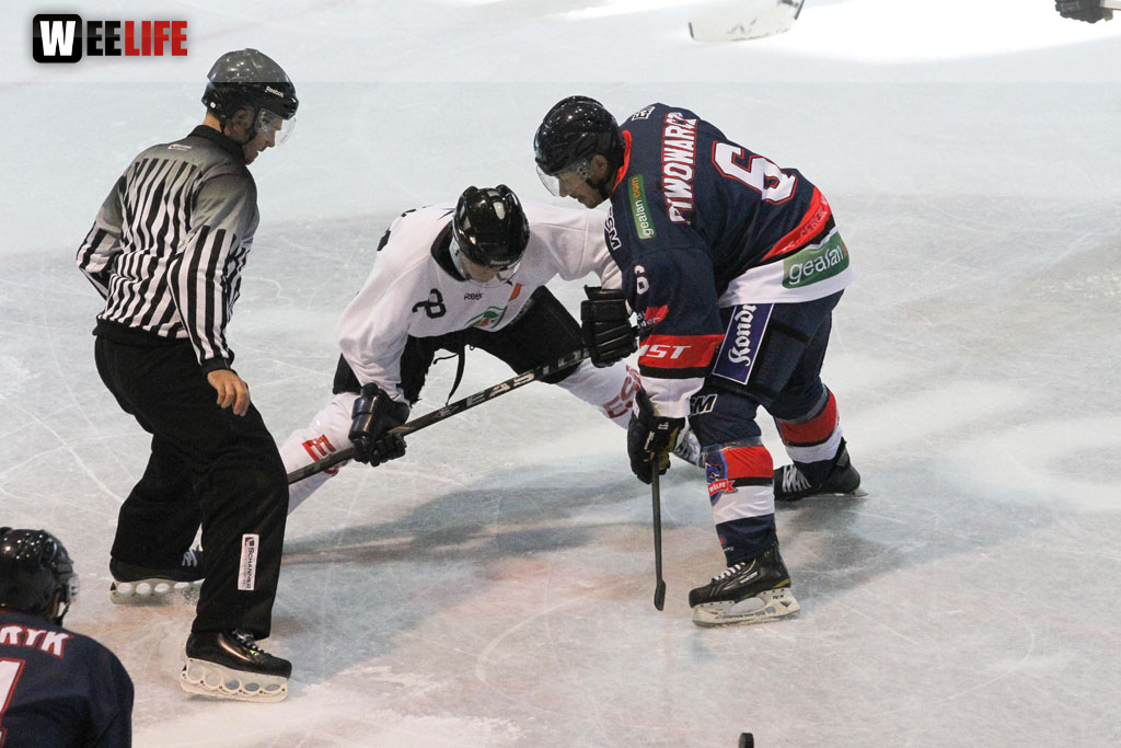 Selber Wölfe - Icefighters Leipzig