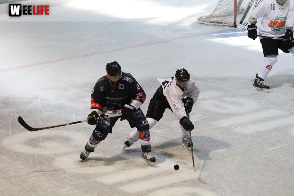 Selber Wölfe - Icefighters Leipzig