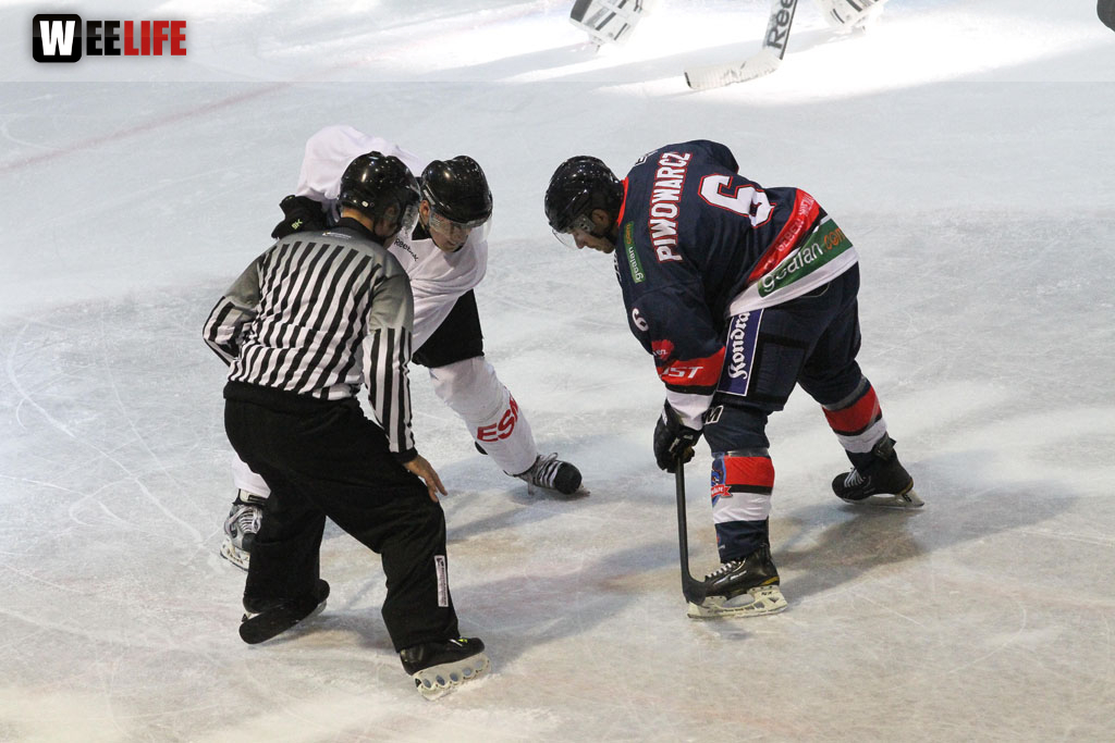 Selber Wölfe - Icefighters Leipzig