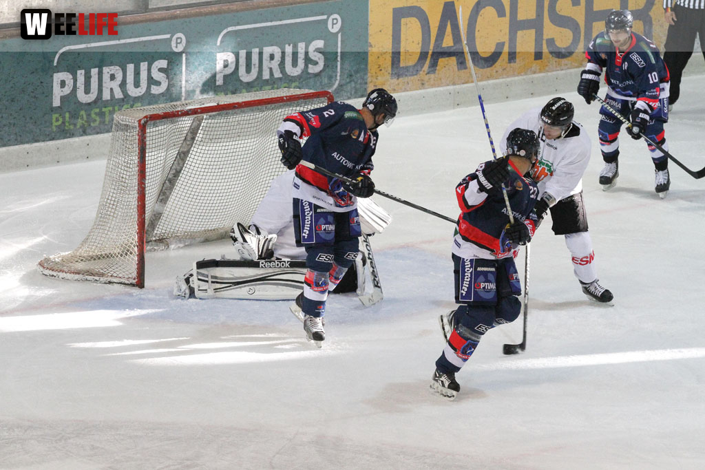 Selber Wölfe - Icefighters Leipzig