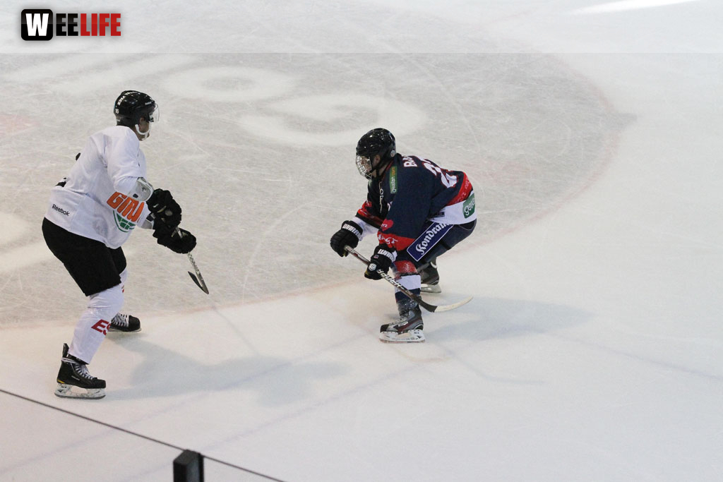 Selber Wölfe - Icefighters Leipzig