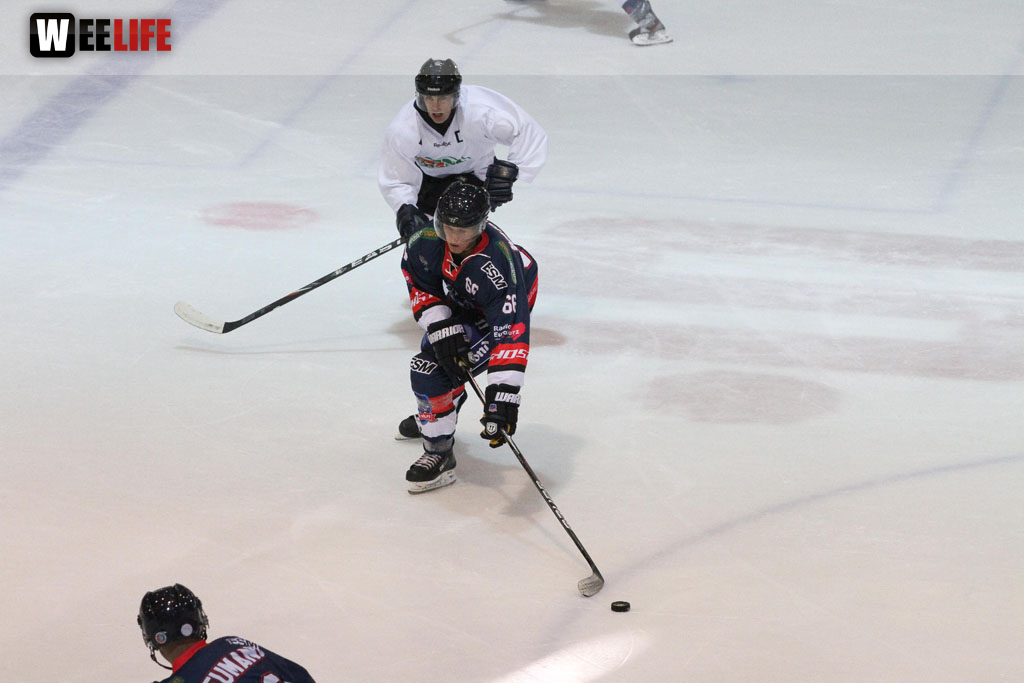 Selber Wölfe - Icefighters Leipzig