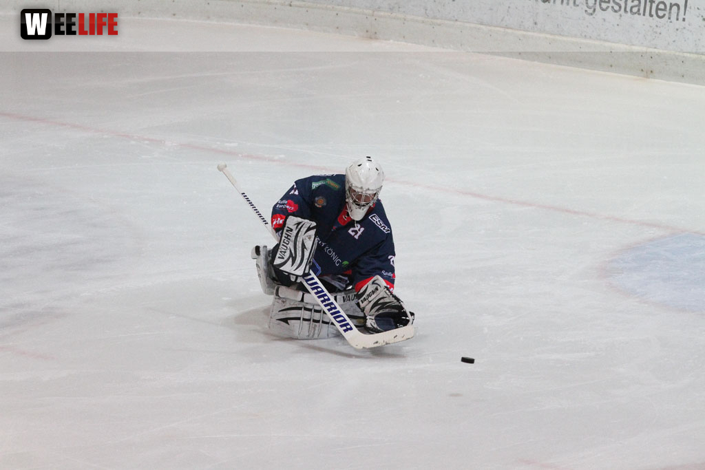 Selber Wölfe - Icefighters Leipzig