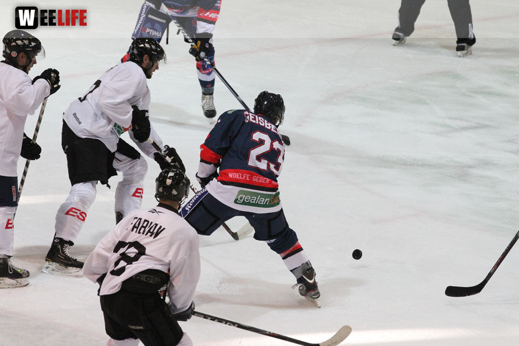 Selber Wölfe - Icefighters Leipzig