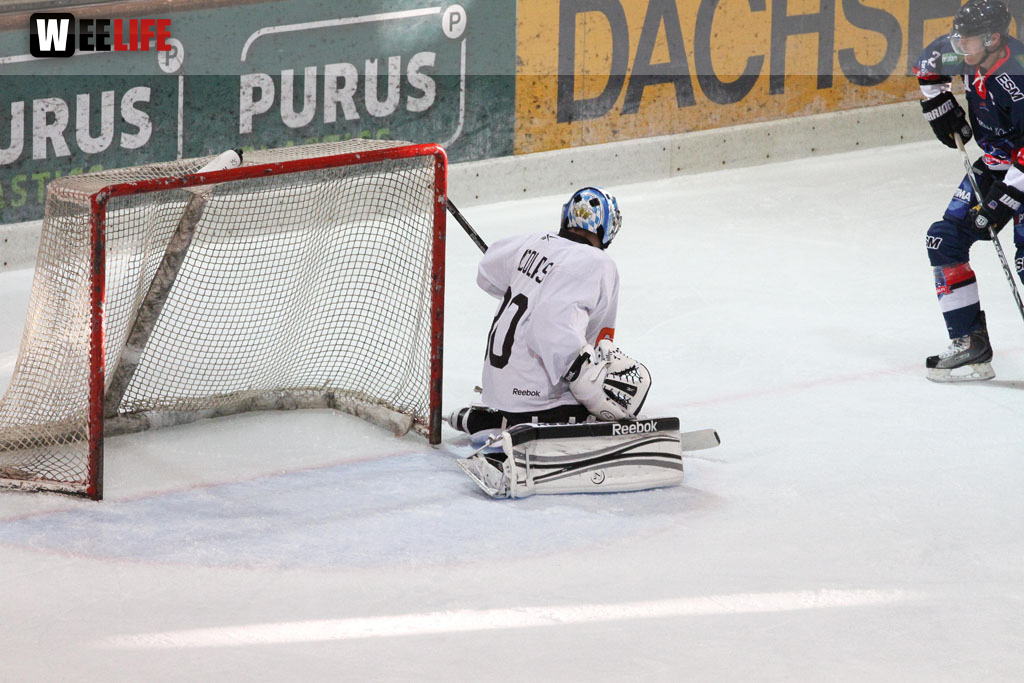 Selber Wölfe - Icefighters Leipzig