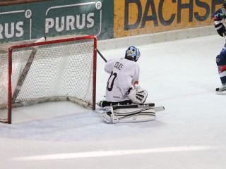Foto 36484 im Album