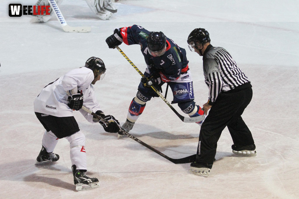 Selber Wölfe - Icefighters Leipzig