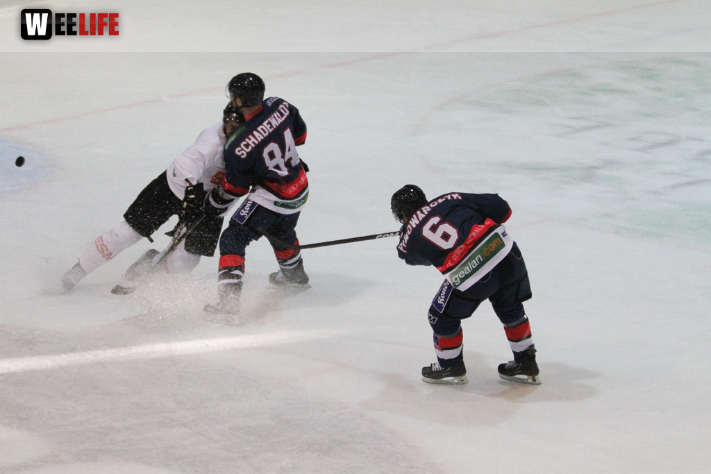Selber Wölfe - Icefighters Leipzig
