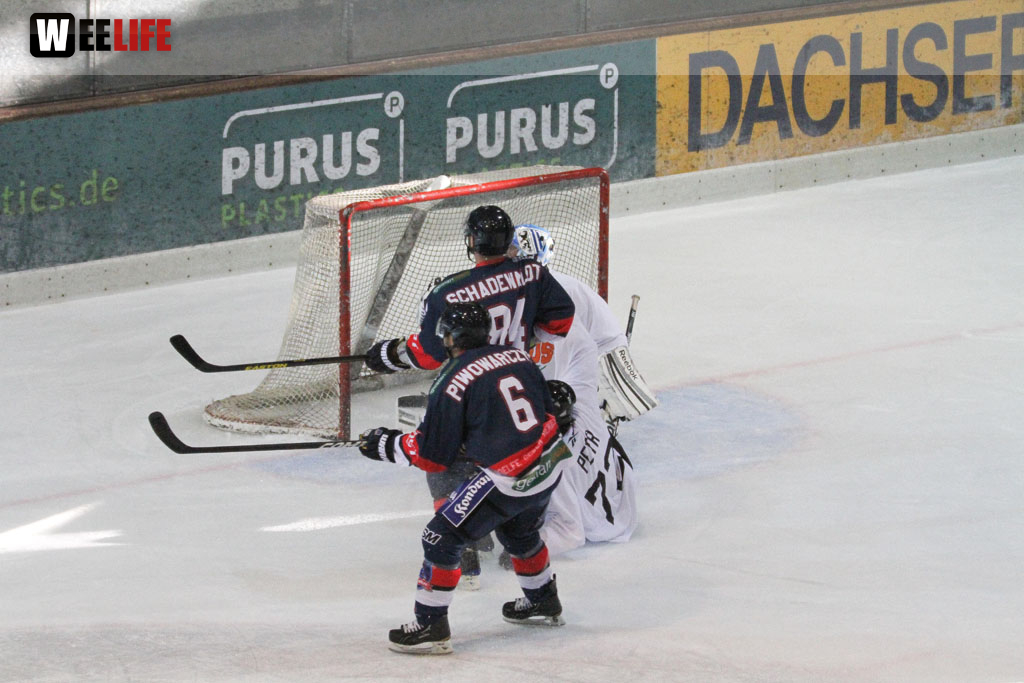 Selber Wölfe - Icefighters Leipzig