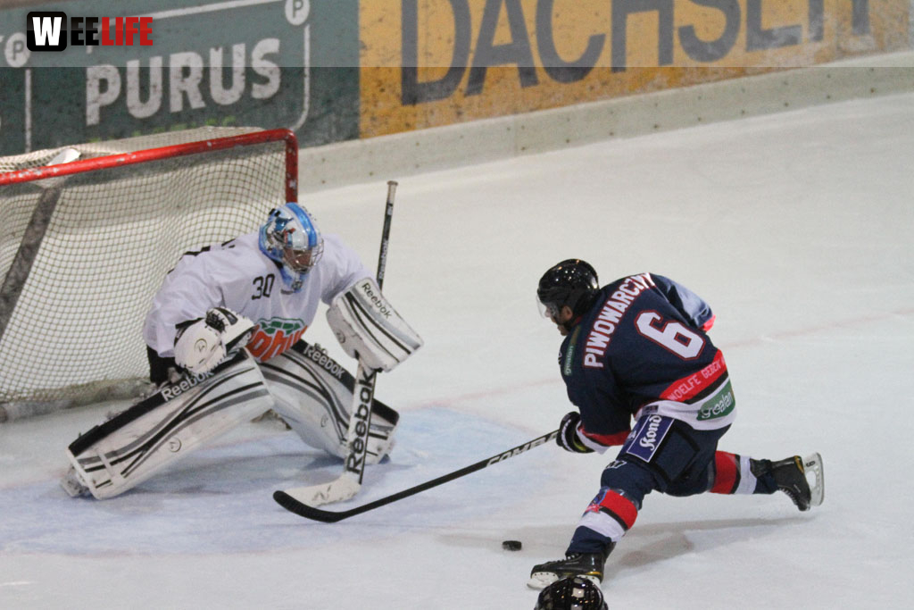 Selber Wölfe - Icefighters Leipzig