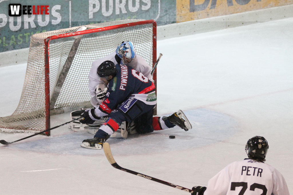 Selber Wölfe - Icefighters Leipzig