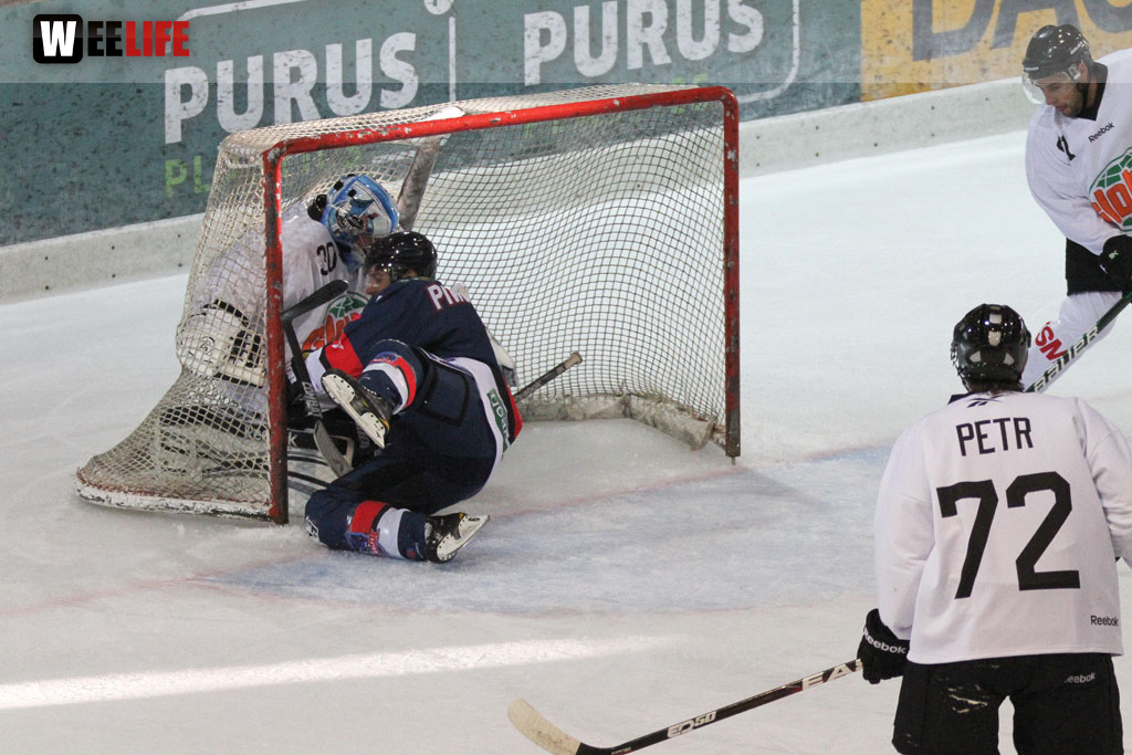 Selber Wölfe - Icefighters Leipzig