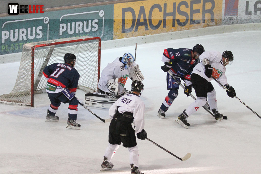 Selber Wölfe - Icefighters Leipzig