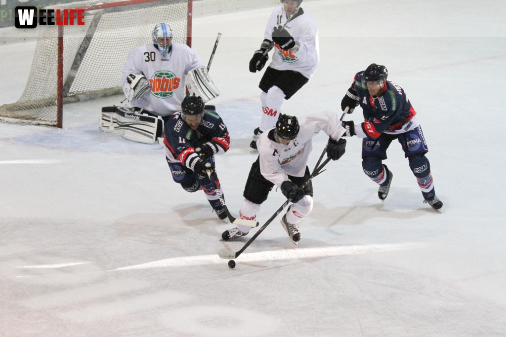 Selber Wölfe - Icefighters Leipzig