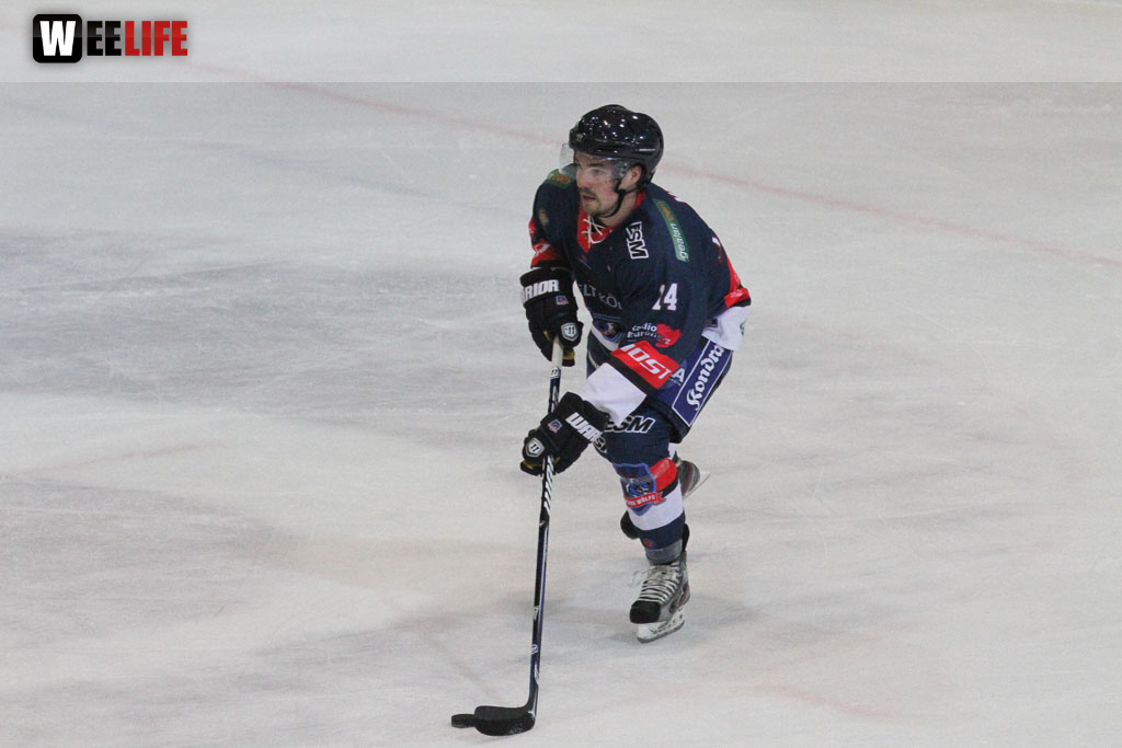 Selber Wölfe - Icefighters Leipzig