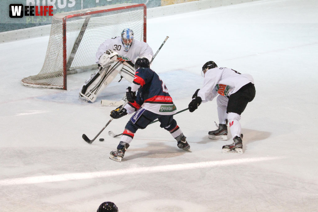 Selber Wölfe - Icefighters Leipzig