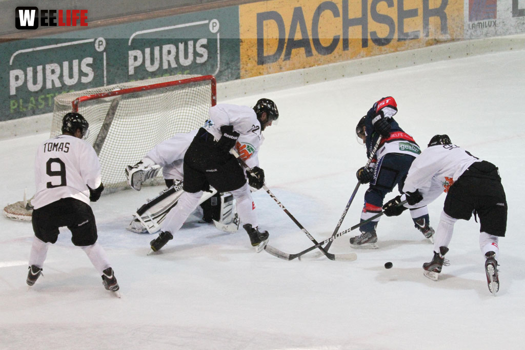 Selber Wölfe - Icefighters Leipzig
