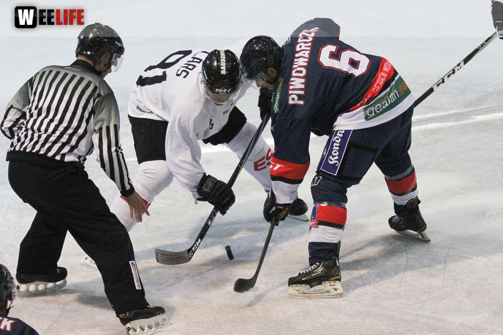 Selber Wölfe - Icefighters Leipzig
