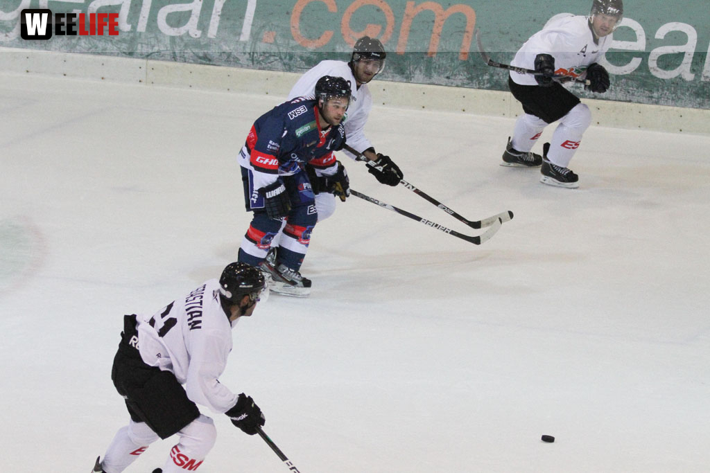 Selber Wölfe - Icefighters Leipzig