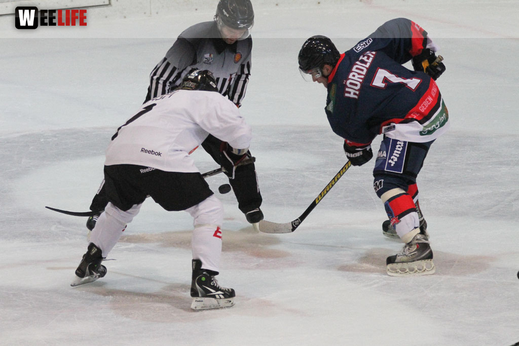 Selber Wölfe - Icefighters Leipzig