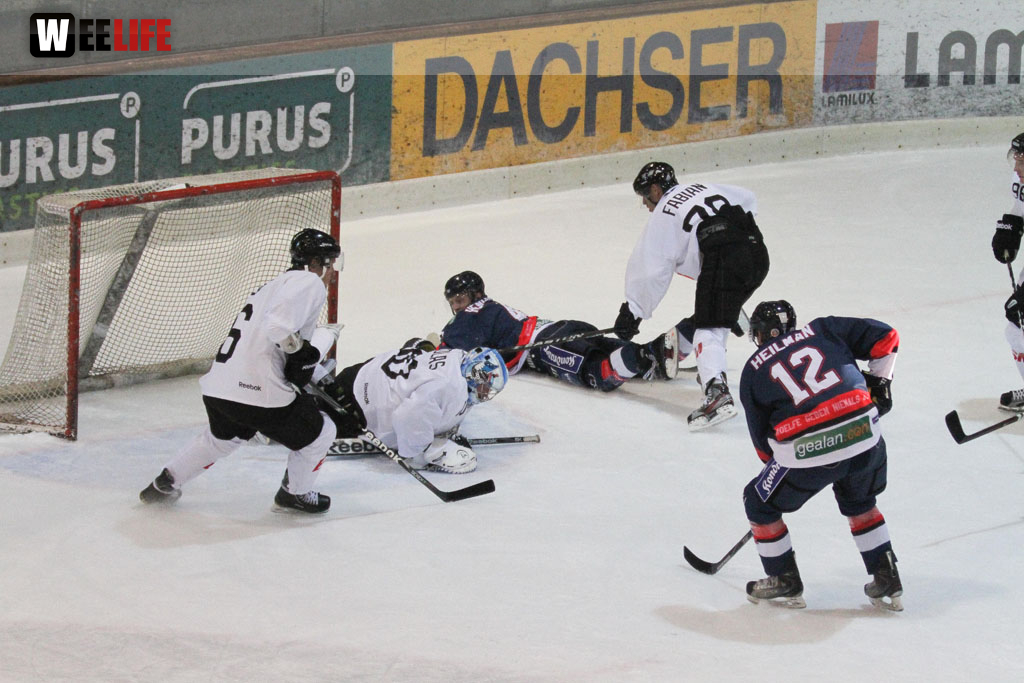 Selber Wölfe - Icefighters Leipzig