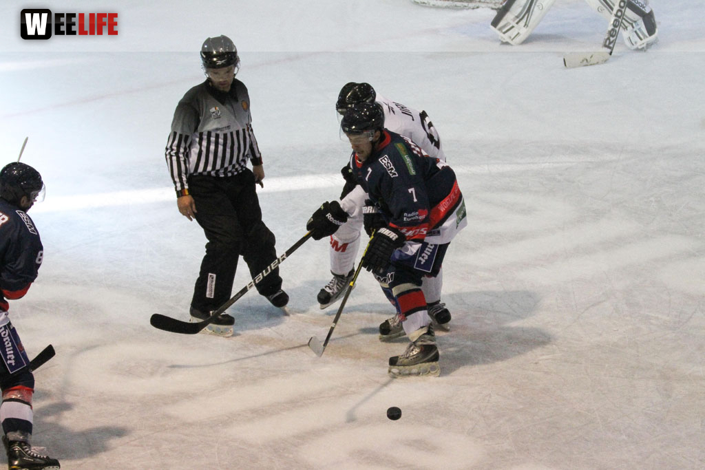 Selber Wölfe - Icefighters Leipzig