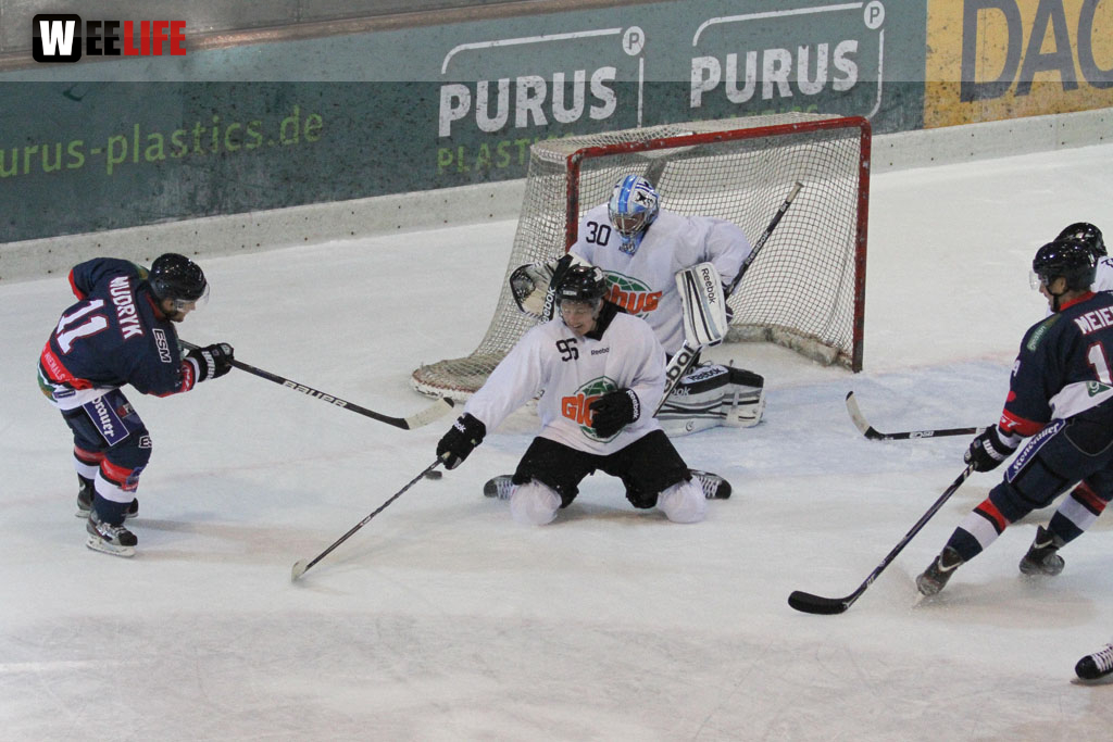 Selber Wölfe - Icefighters Leipzig