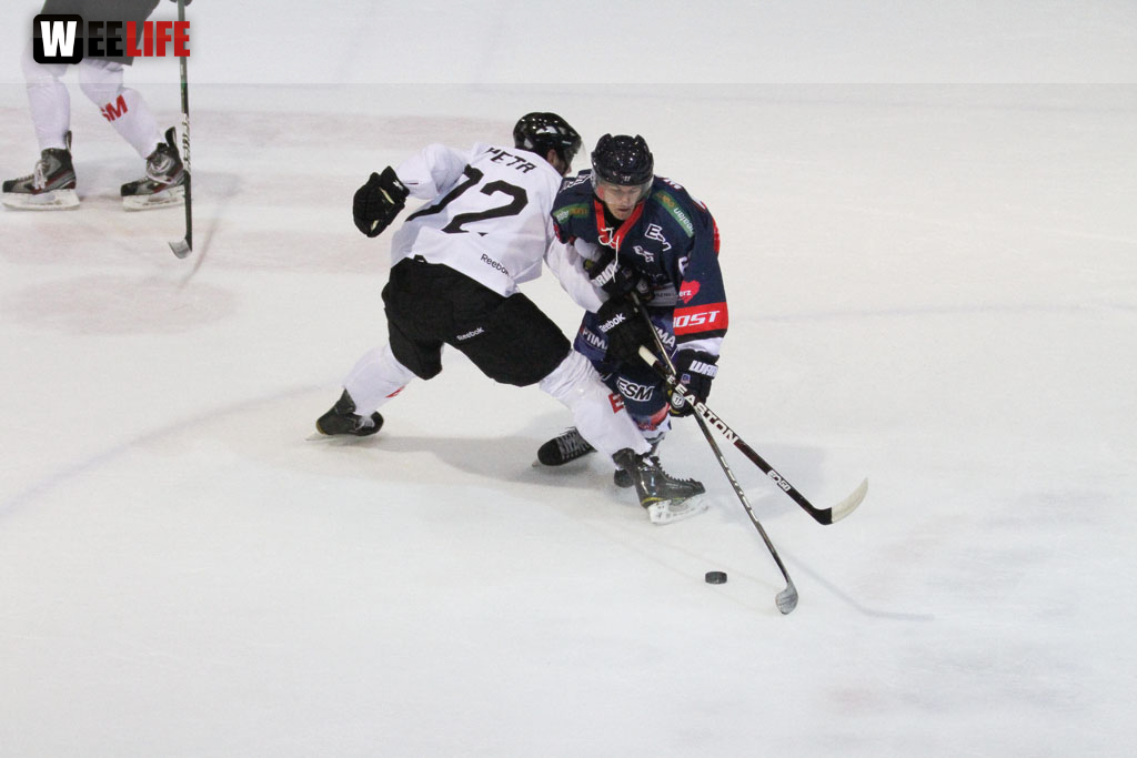 Selber Wölfe - Icefighters Leipzig