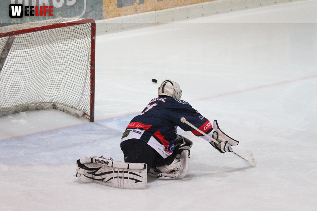 Selber Wölfe - Icefighters Leipzig