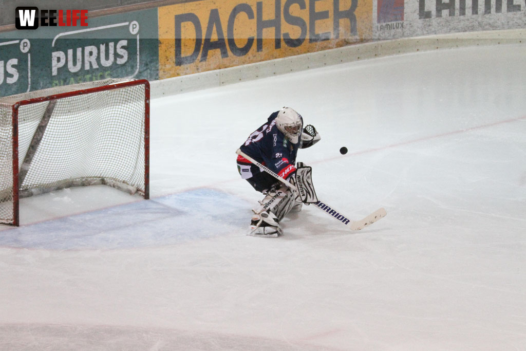 Selber Wölfe - Icefighters Leipzig