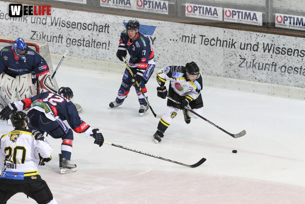 Selber Wölfe - EHC Bayreuth