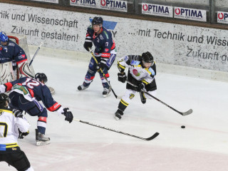 Vorschau des vorherigen Fotos